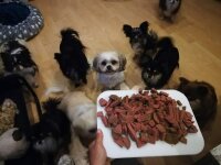 200g Monoprotein Lamm Fit gepresst® Takeaway 1 Stück